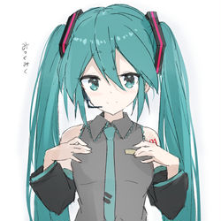 VOCALOID / ミクさん / December 26th, 2025