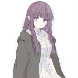 frieren / フェルンさん / January 18th, 2026
