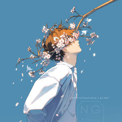 spring crown / March 17th, 2026