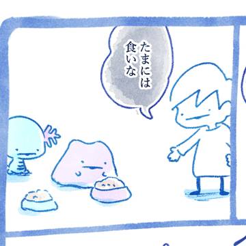 Pokémon, pocket monsters, pokemon / フーズ