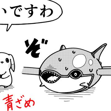 Pokémon, phoenix, Kyogre / うすチュウと青い