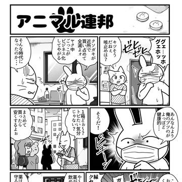 アニマル連邦『用法用量』 / April 20th, 2026