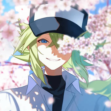 N (Trainer), Pokémon, pokemon / N