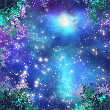 starry sky, star, night sky / 木々の隙間から