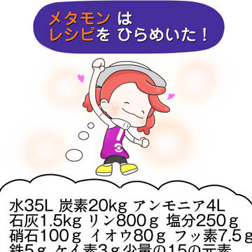 pocket monsters, ditto, Stop it dummy / レシピをひらめいた！