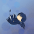 神崎なまり's avatar