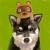 たぬぽん's avatar