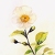 庭 春樹's avatar